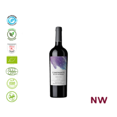 130 - CAMINANTE DE LOS MUNDOS MALBEC CAJA 6 BOTELLAS - comprar online