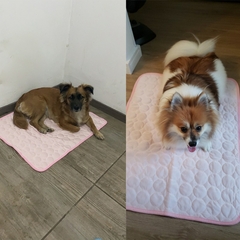 Esteira de resfriamento para cães - cooling mat - comprar online