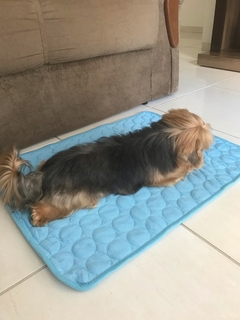 Esteira de resfriamento para cães - cooling mat - loja online