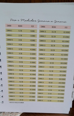 Planner da Gestante na internet