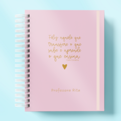 Caderno Reuniões da Professora (Rosa)