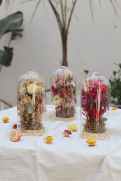 Cúpulas de Flores Secas
