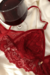 conjunto-desejo-secreto-vermelho-de-tule-e-renda