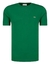 Camisetas Masculina Verde - Riquinho Rico