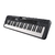 Imagen de CASIO CASIOTONE CT-S300 Teclado de 61 teclas sensitivas