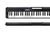 CASIO CASIOTONE CT-S300 Teclado de 61 teclas sensitivas - comprar online