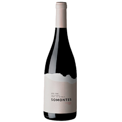 Somontes Colheita Tinto