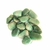 Pedra Amazonita - Pacote 200g na internet