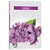 Vela T'light Aroma Lilac (Lilac)