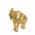 Elefante Dourado - Grande - comprar online