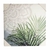 Quadro Decorativo Plantas Modelos Variados 50x50 Cm - comprar online