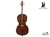 Violoncello 4/4 LMR-0320D Profissional LUXO LAMOUNIER - A pronta entrega!!!