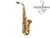 Saxofone Alto Yanagisawa AWO10 Elite Lacado ORIGINAL - JAPAN