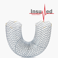 Stent Duodenal Autoexpandible Metalico