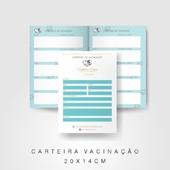 Carteira de Vacinação na internet