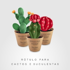 Rótulo cactos e suculentas - Copy+Arts - Papelaria Personalizada, Etiquetas Escolares e Produtos Exclusivos para Festas