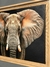 CUADRO ELEFANTE - comprar online