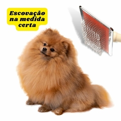 Banner da categoria Rasqueadeira para escovar cães / gatos