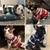 Camisas para cachorro estilo britânico, xadrez, roupas para cachorros pequenos,