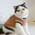 Imagem do Gato cachorro camisola pulôver inverno roupas para animais de estimação para