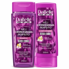 DaBelle Hair Meu Cronograma Perfeito - Shampoo 250ml e Condicionador 175ml. - comprar online