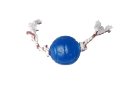 Imagem do Brinquedo para cães Bola Cristal Bone Lisa Azul com Laço Marrom 75mm