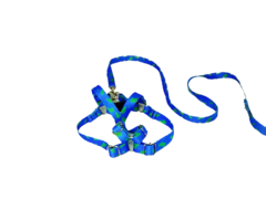 Conjunto Peitoral e Guia Ajustável RBPet - Cães e Animais de Micro Porte - loja online