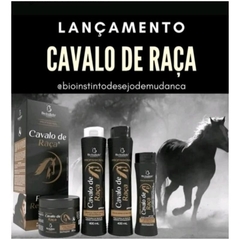 Kit Cavalo de Raça Bio Instinto na internet