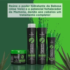 Kit Mamona e Babosa Bio Instinto - comprar online