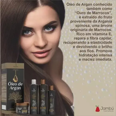 Kit Óleo de Argan Bio Instinto - comprar online