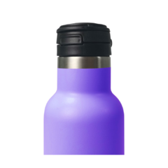 Botella térmica violeta/Turquesa 600 ml - comprar online