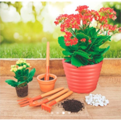 Set Herramientas Jardinería 4 Pzas Tramontina - comprar online