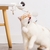 Novo Brinquedo Elétrico Gato Engraçado Brinquedo Bola Teaser Brinquedo Automático Mola de Elevação Yo-Yo Bola Elevatória Quebra-cabeça Interativo Brinquedos Inteligentes Para Animais de Estimação - loja online