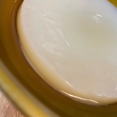 scoby de kombucha com starter (11cm + 200ml)