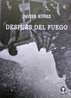 DESPUÉS DEL FUEGO - JAVIER NÚÑEZ