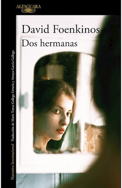 DOS HERMANAS (NOVELA) - DAVID FOENKINOS