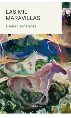 LAS MIL MARAVILLAS (NOVELA) - DENIS FERNÁNDEZ