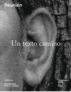 UN TEXTO CAMINO (NO FICCIÓN) - CAÍSTULO