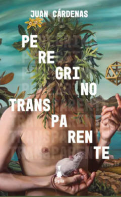 PEREGRINO TRANSPARENTE - JUAN CÁRDENAS