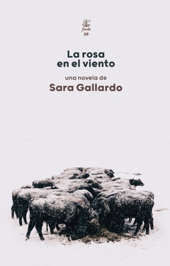 LA ROSA EN EL VIENTO (NOVELA) - SARA GALLARDO