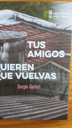 TUS AMIGOS QUIEREN QUE VUELVAS (NOVELA) - SERGIO GAITERI