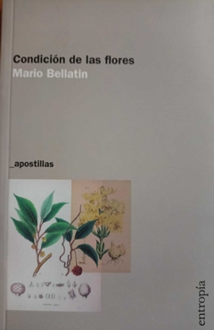 CONDICIÓN DE LAS FLORES (APOSTILLAS) - MARIO BELLATIN