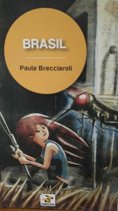 BRASIL - PAULA BRECCIAROLI (DIARIO DE VIAJE)