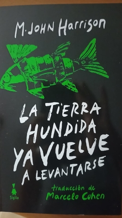 LA TIERRA HUNDIDA YA VUELVE A LEVANTARSE