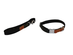 Kit Collar y Correa Premium en internet