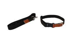 Kit Collar y Correa Clásico - comprar en línea