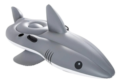 Tiburon colchoneta en internet