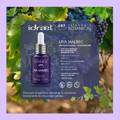 Uva Malbec Serum - comprar online