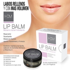 Lip Balm - Sin fragancia - comprar online