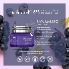 Uva Malbec Facial Cream - comprar online